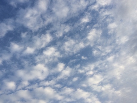 a0116246_9194557.jpg