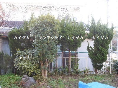 c0261346_18515927.jpg