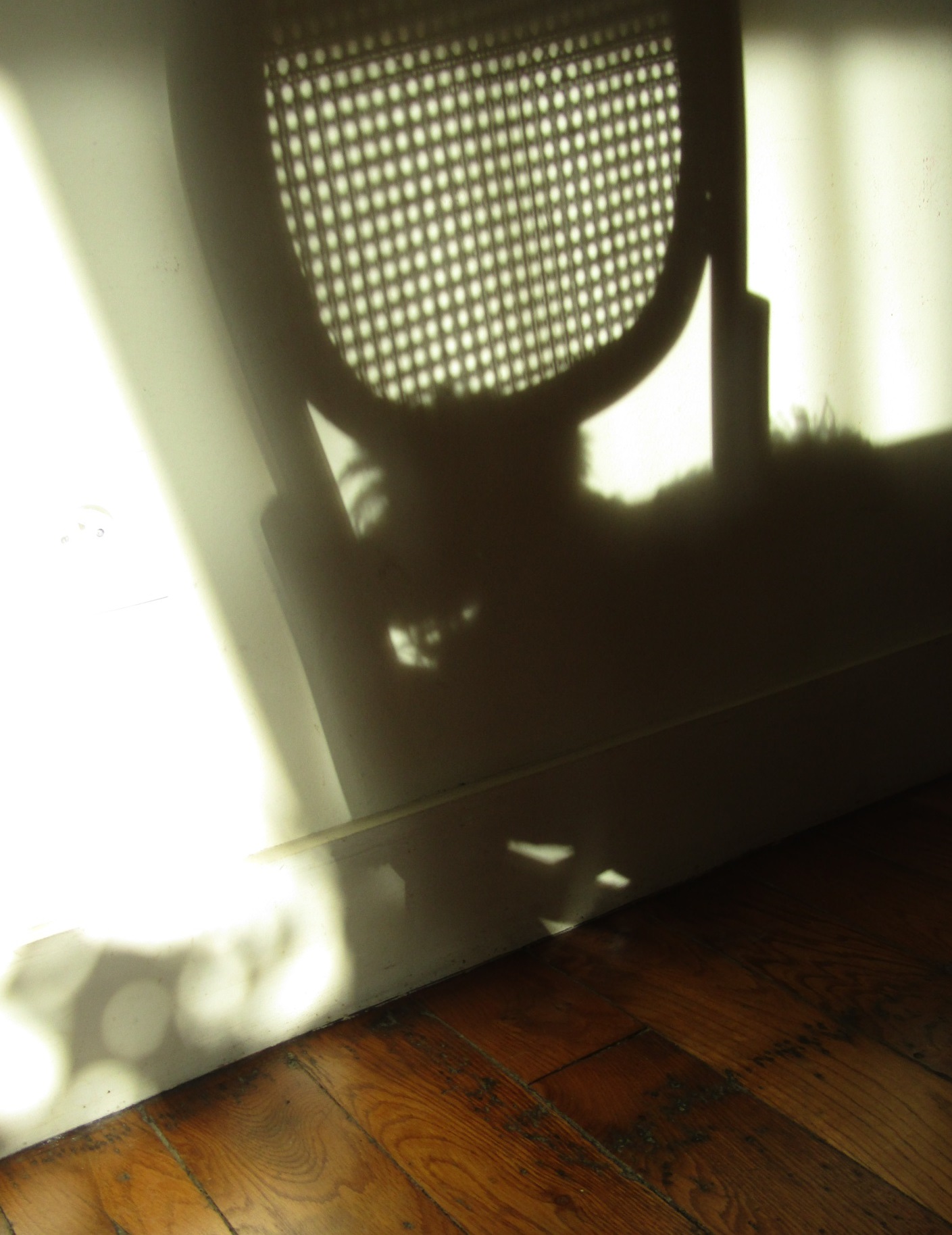 春隣り ( A cote du printemps ) …… 。_b0287748_3344883.jpg