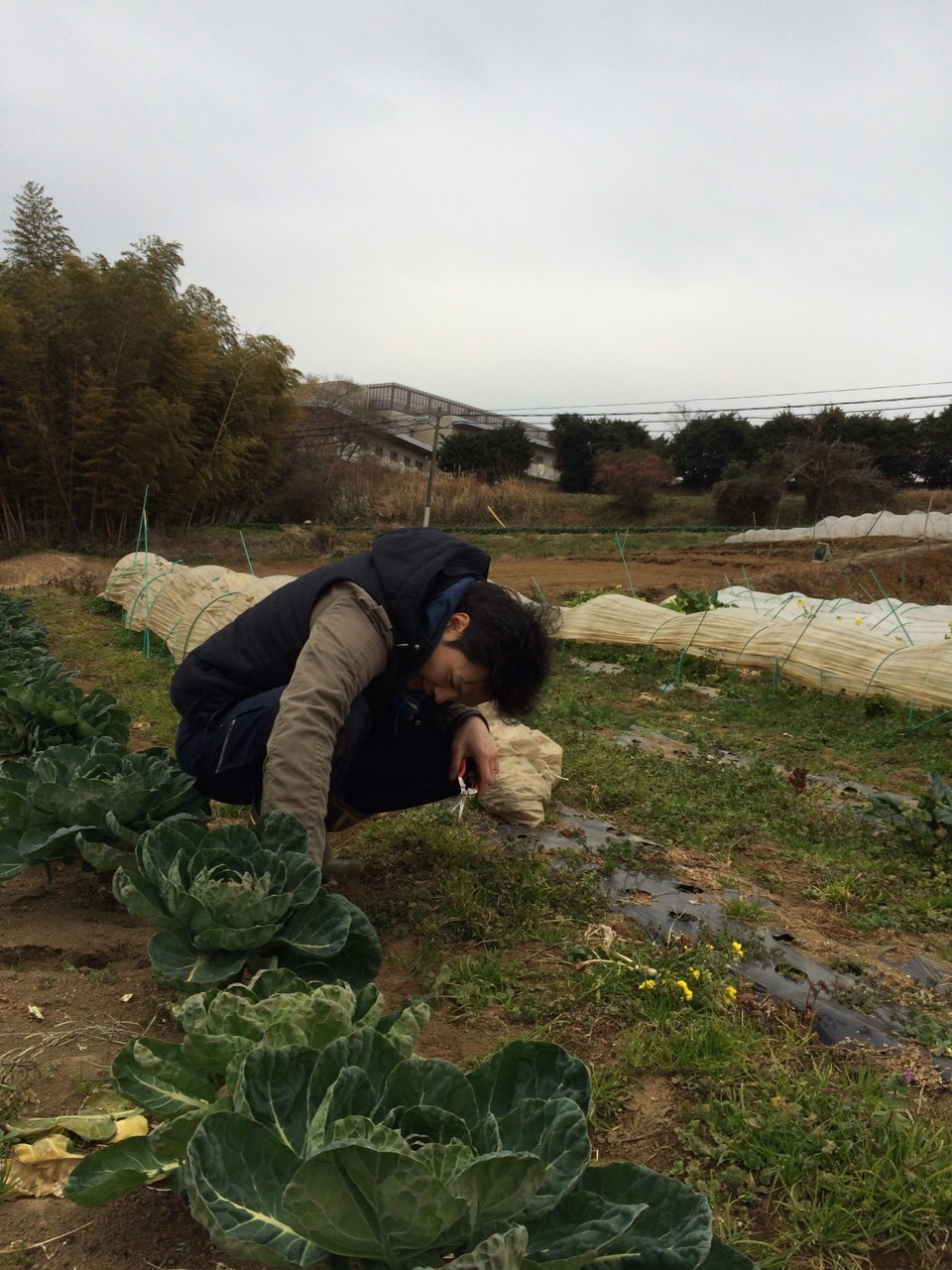 今朝は　吉田さん３日連続　加藤＆飯田の３名作業と　某出版社の方々・・畑撮影_c0222448_12065422.jpg