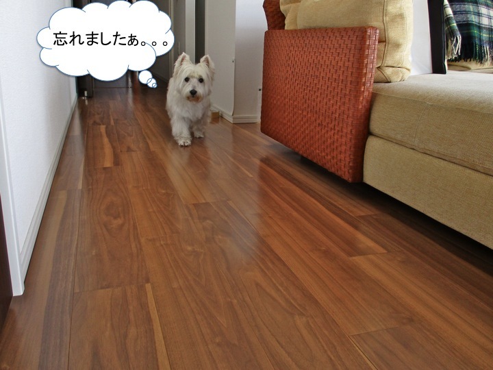 初悪夢です_c0260460_20394543.jpg