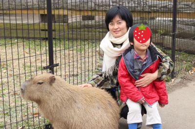 熊本 阿蘇ファームランドは1日居てもまわりきれませんでした_f0245967_15243310.png