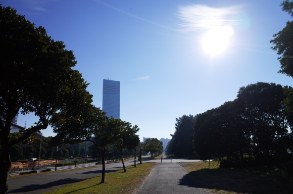 a0232368_13331146.jpeg