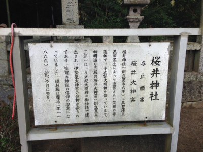 糸島　桜井神社へ_b0286869_1202981.jpg