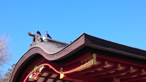 f0157572_19014556.jpg