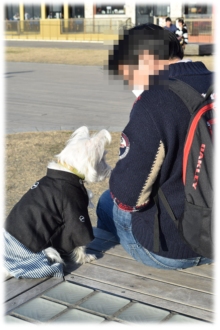 b0242873_00450680.png