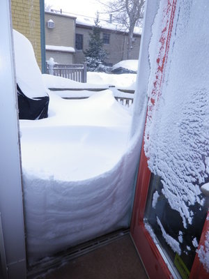 大雪注意報_c0353373_23330403.jpg