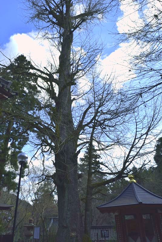 d0061579_11231954.jpg