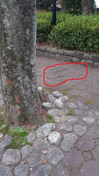 f0228680_11134073.jpg