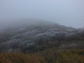 2016年1月12日 降ってきたらしい_b0098584_1856639.jpg