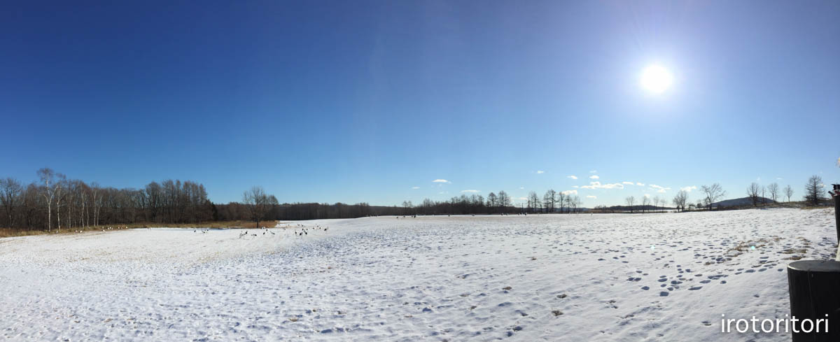 d0146592_21293318.jpg