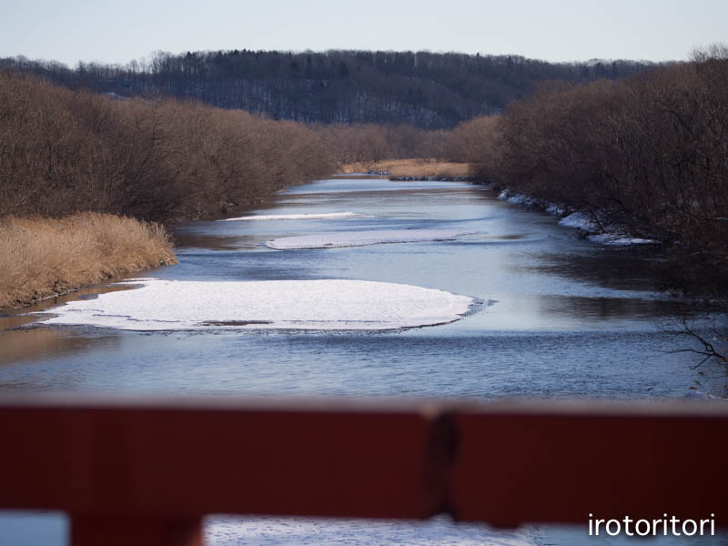 釧路旅日記　その2　（シマエナガ・オオワシ・タンチョウ・トビ）　　2016/01/06_d0146592_21333836.jpg