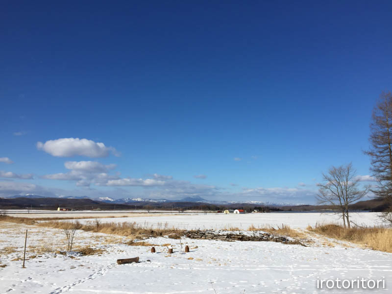 釧路旅日記　その2　（シマエナガ・オオワシ・タンチョウ・トビ）　　2016/01/06_d0146592_21355048.jpg