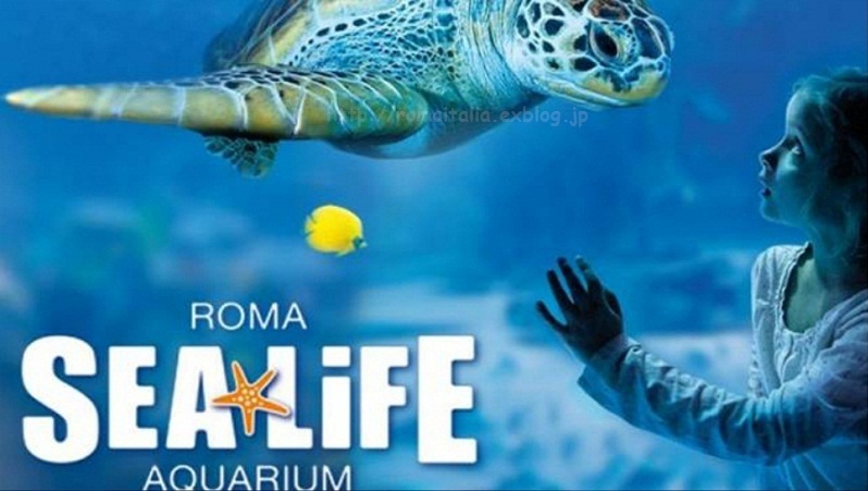 ”この春、オープン！ローマ湖底水族館♪” ～ イタリア最大の水族館 ～  - R O M A ～ Kasumi♪ROMA@在住地ローマ...