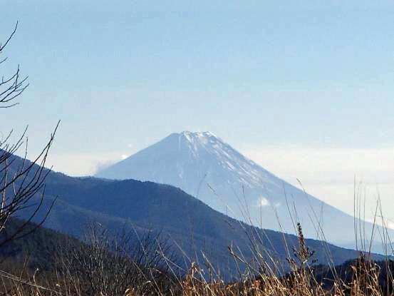 f0064906_1684859.jpg