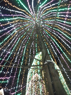 f0142211_0264821.jpg