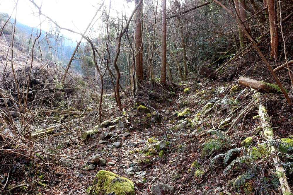 f0212511_0311836.jpg