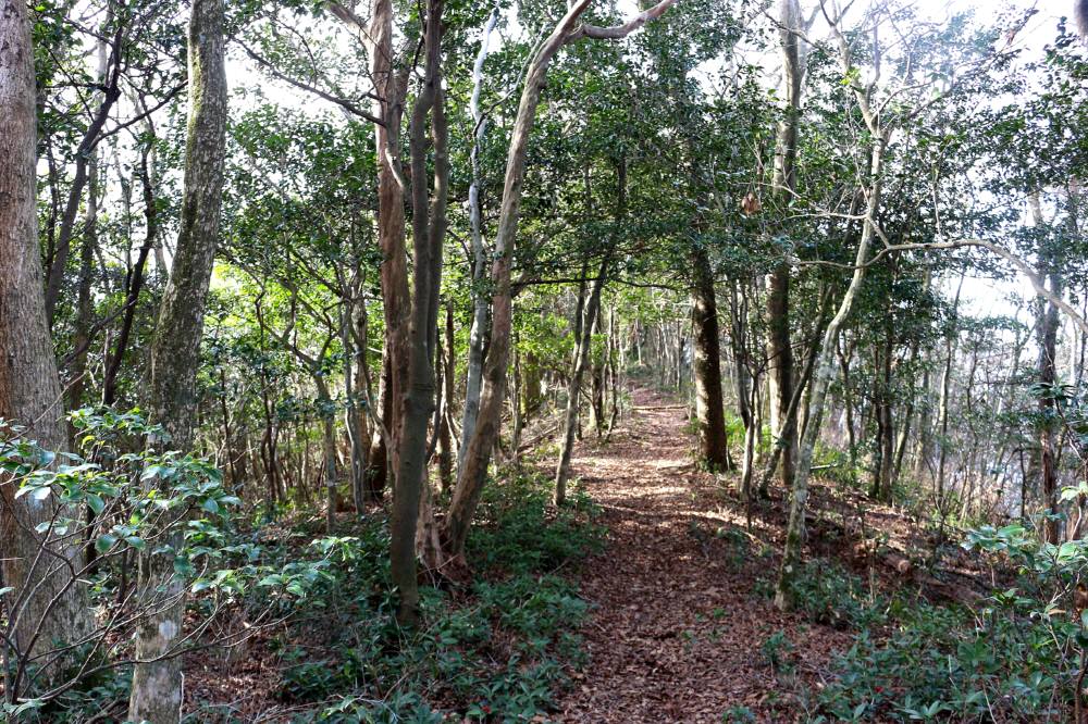 f0212511_0314093.jpg
