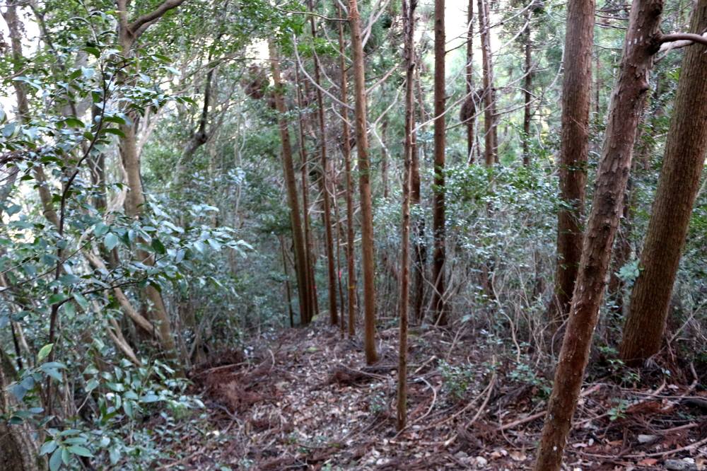 f0212511_1202052.jpg