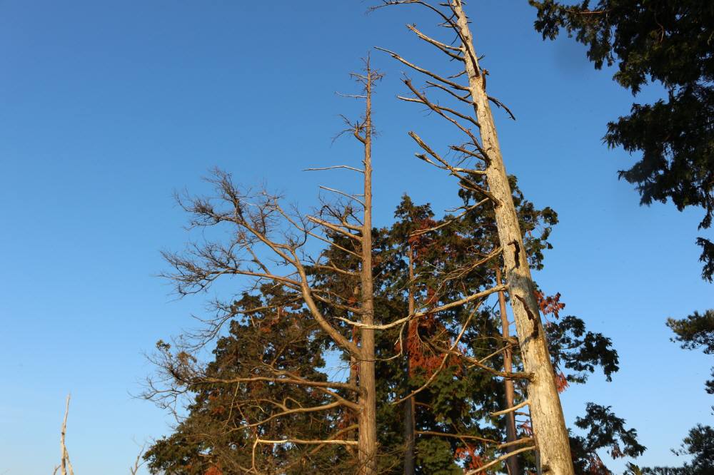 f0212511_1241698.jpg