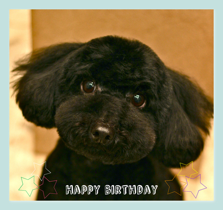Happy Birthday♡レオちゃん_d0060413_16583131.jpg