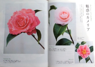 b0344816_19411974.jpeg