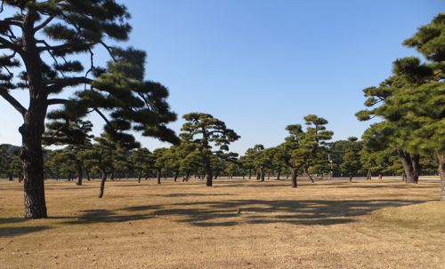 遅い正月休みを東京で（2016.01.13 WED.）_b0226219_1555529.jpg