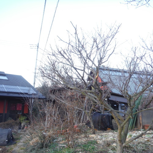 c0310322_17554223.jpg