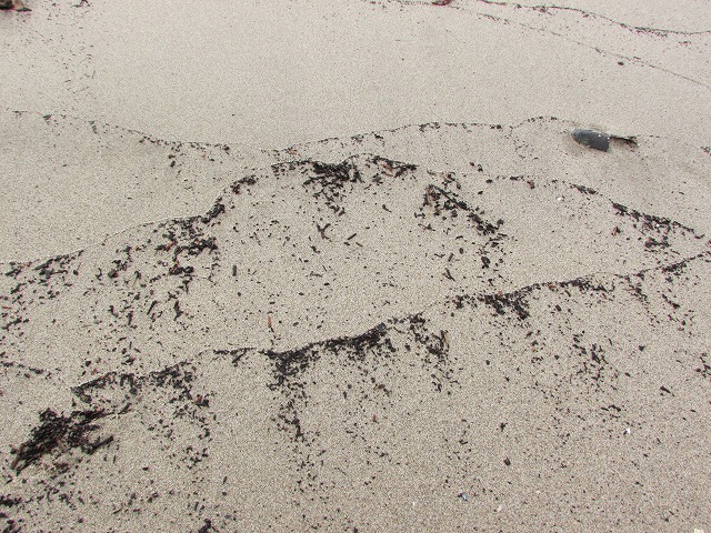 e0321325_15152282.jpg
