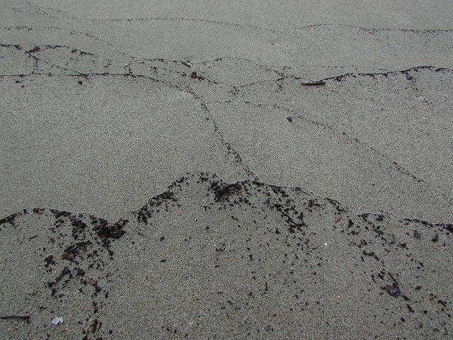 e0321325_151597.jpg
