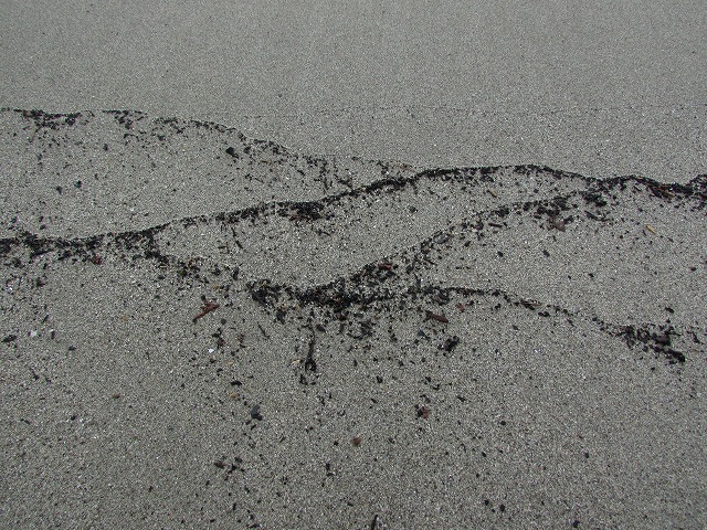 e0321325_9121971.jpg