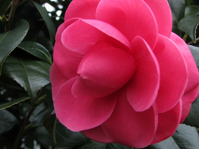 e0321325_975197.jpg