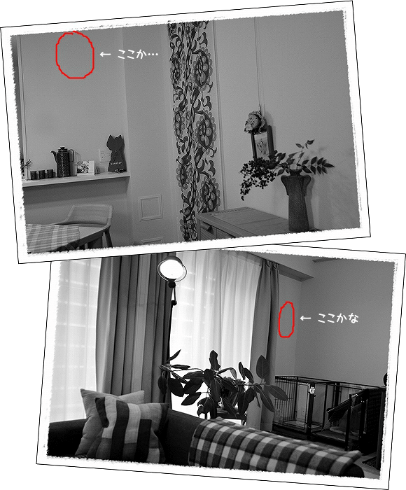 d0179828_09090681.png
