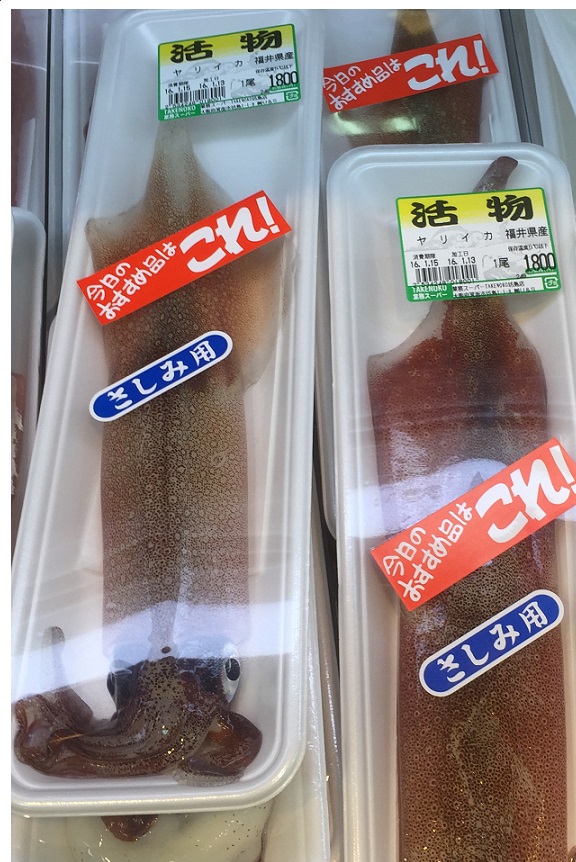 ヤリイカの値段 新 直哉の釣り魚料理 ヤリイカの値段 新 直哉の釣り魚料理