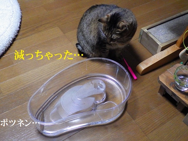 a0337237_14492748.jpg