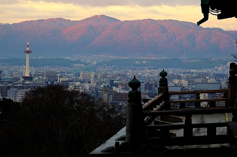 早朝拝観_b0314043_14480075.jpg