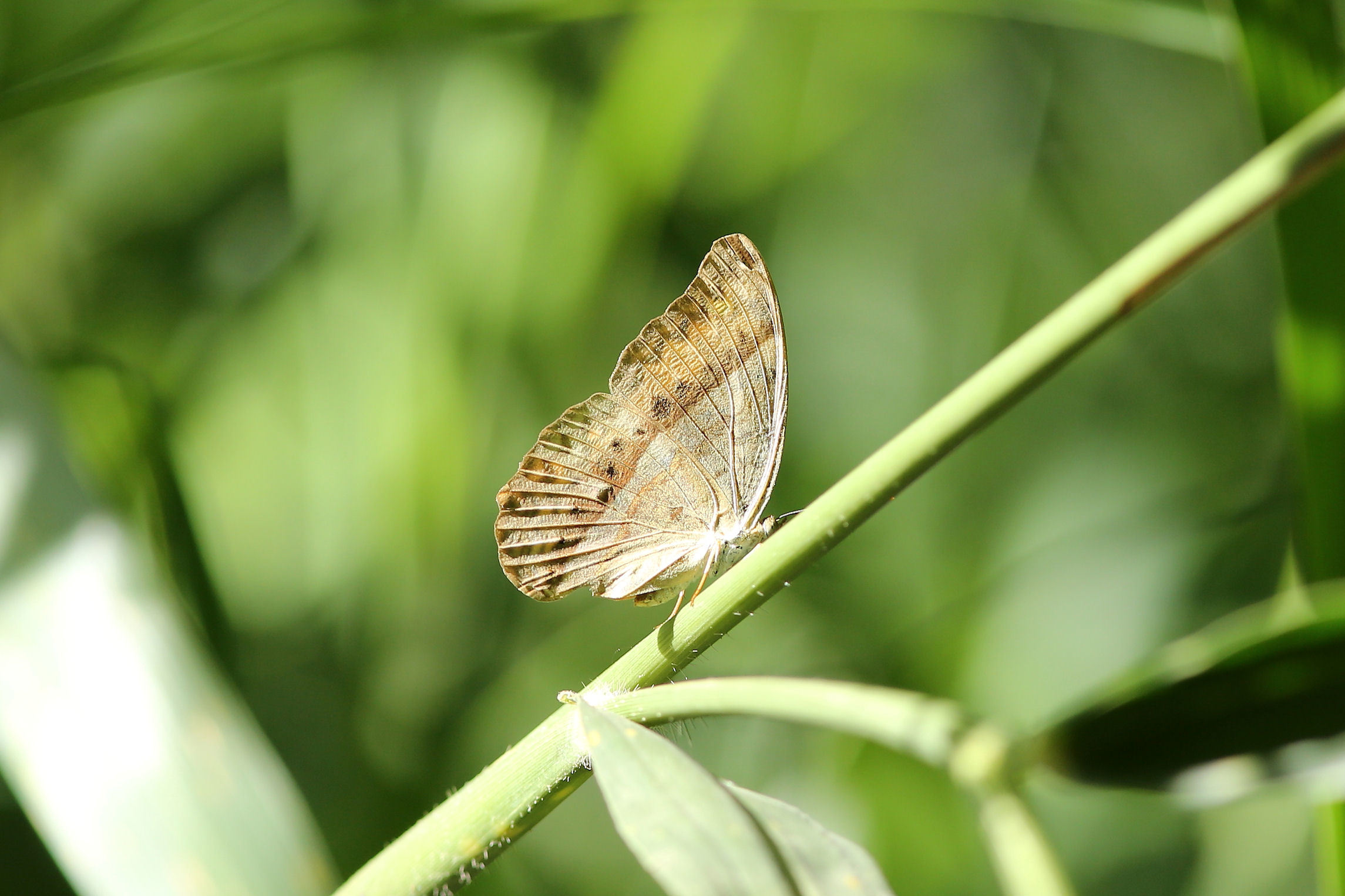 f0345350_22055387.jpg