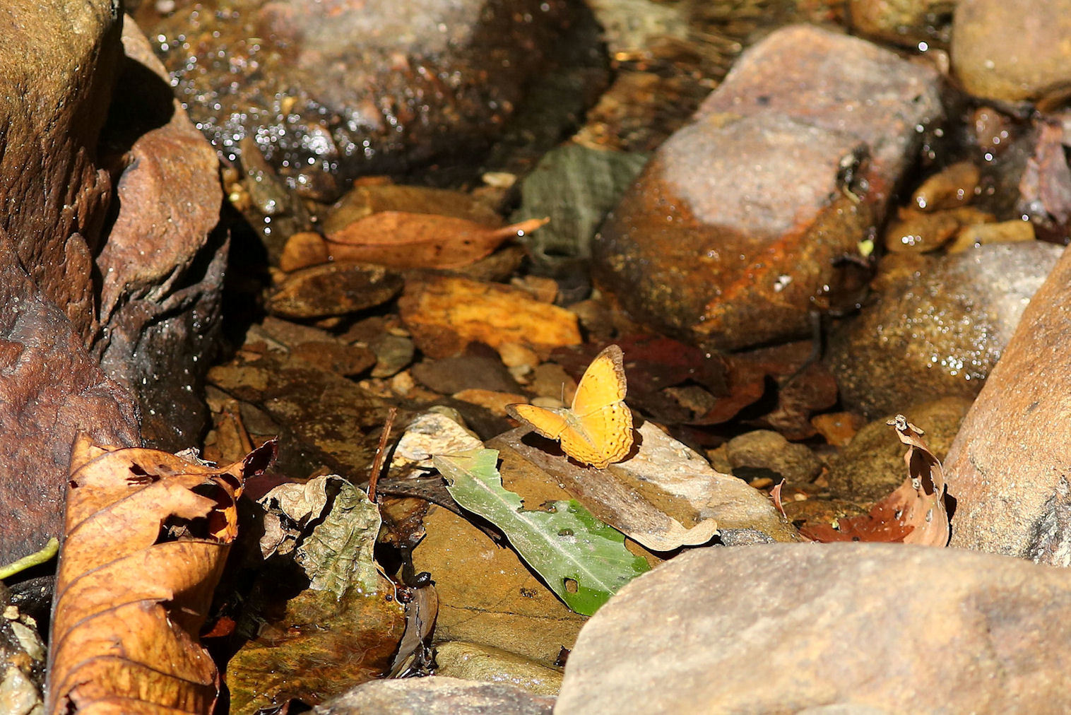 f0345350_22251770.jpg