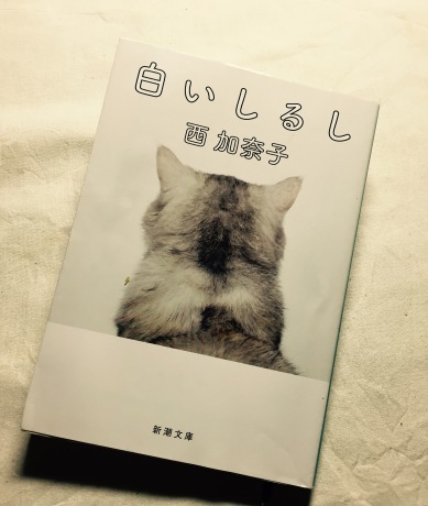 a0028852_01291109.jpeg