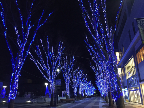 ひとり言_e0109554_948825.jpg