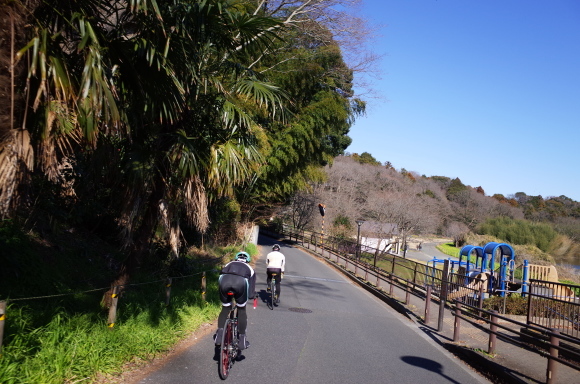 a0232368_07065152.jpeg