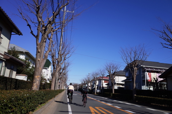 a0232368_13362675.jpeg