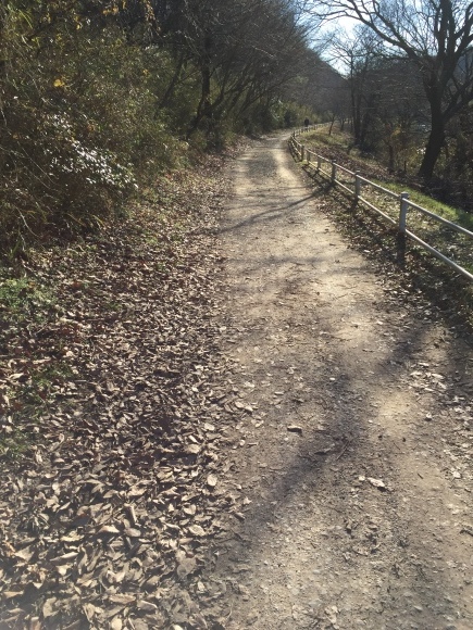 a0232368_22160150.jpeg