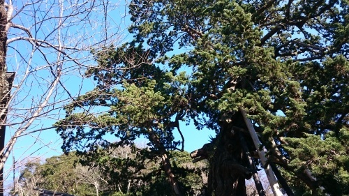 f0157572_08295741.jpg