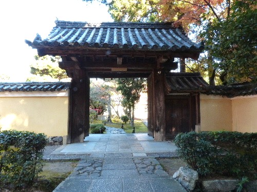 冬の京都ひとり旅 （四）  　鹿王院の紅葉 - 野に咲く北国の花