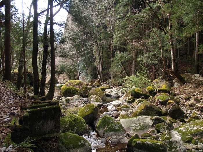 『板取川と渓谷と下根(しもね)池の風景・・・・・』_d0054276_19434023.jpg