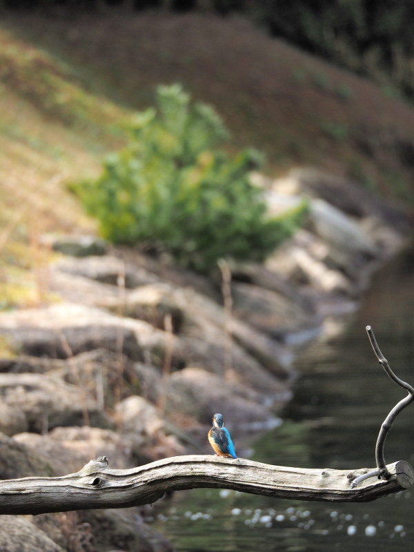 c0254479_2156411.jpg
