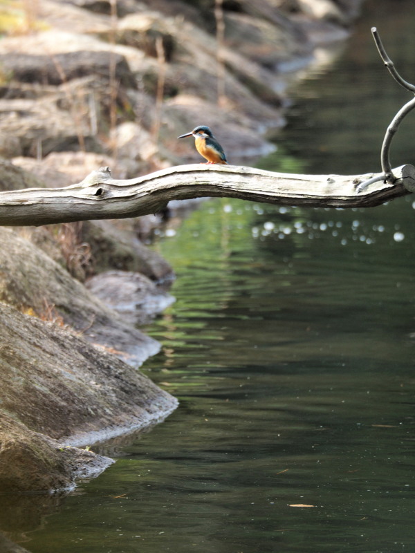 c0254479_2223556.jpg