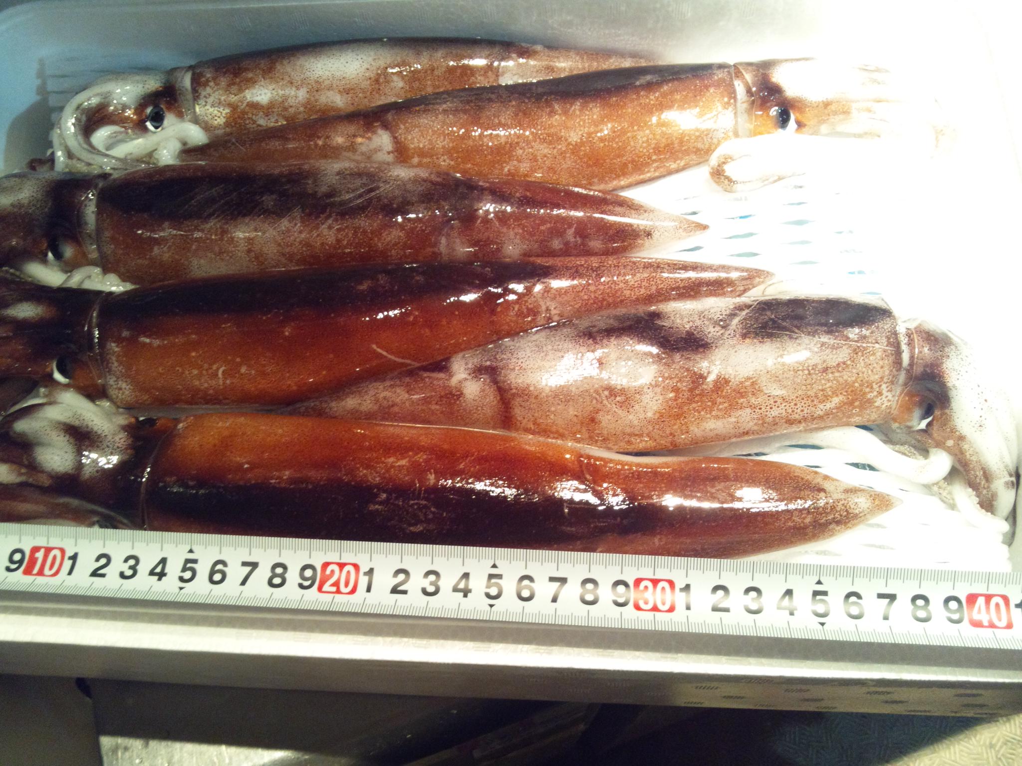 塩辛の作り方_b0064080_3582765.jpg