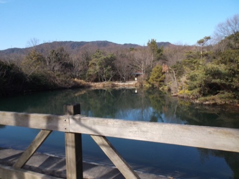 d0115985_22405000.jpeg